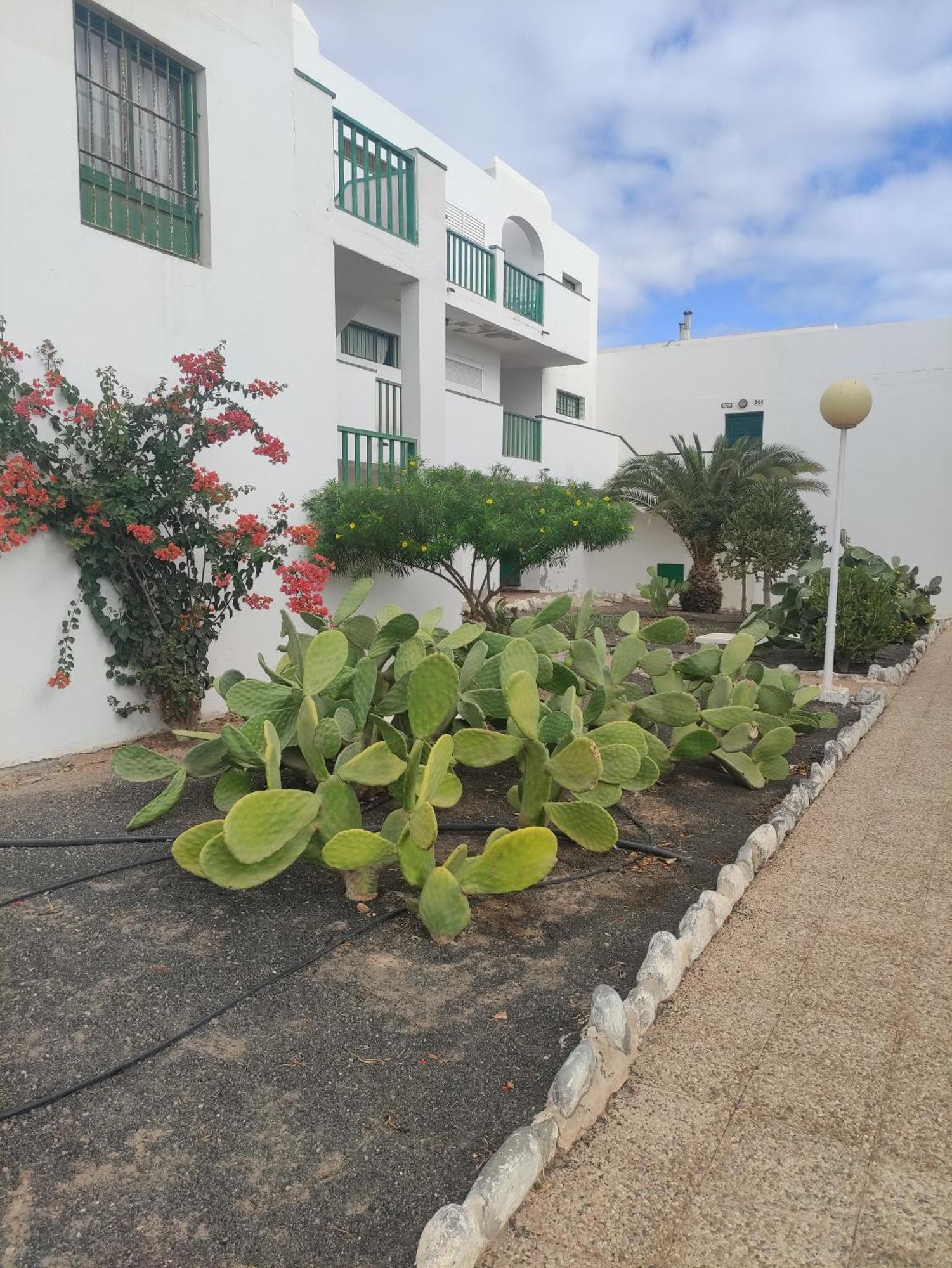 Casita Perla Blanca Apartamento Costa De Antigua Exterior foto